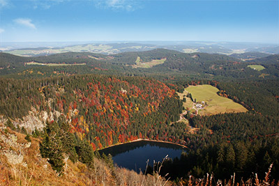 Blick vom Feldberg auf den Feldsee